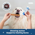 BARKBOX Bright Dental Care Kit - for Dogs - for Large Breeds (50+ lbs)
