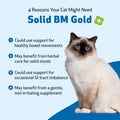 Pet Wellbeing Solid BM Gold for Cats - Supports Healthy Digestive Function, Solid Stools, Normal Bowel Movements, Bayberry- Veterinarian-Formulated Herbal Supplement 2 oz (59 ml)