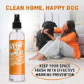 Stop the Spray Dog Marking Stopper – Pee Deterrent & Potty Training