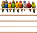 Sintuff 8 Pcs Bird Perches for Cage Accessories, Wooden Perch Rods Replacement with Double Head Slots, 0.6 Inch Diameter Natural Wood Stand for Parrot Macaw Cockatoo Parakeet (18 Inches)