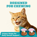 Wellix 13.5oz Urinary Tract Health Supplement Cat Treats for Indoor Cats - Chicken Flavor Kitten Snacks for Support Kidney Bladder & Urinary Health Cat Training