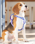 DF Freedom No Pull Martingale Dog Harness and Leash Set, Front Clip Adjustable Harness with Reflective & Padded Handle, 