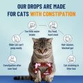 VICSOM Cat Laxative, Cat Constipation Relief Drops, Chicken, 2 Fl Oz