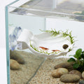 Betta Fish Hammock Shell, Shell Bed with Strong Suction Cup (White)