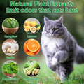Cat Deterrent Outdoor, Natural Peppermint Oil Cat Repellent Outdoor, 10 Pack Cat Deterrent Balls Outdoor Indoor to Keep 