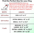 Martingale Collar for Dogs, Biothane, Stainless Steel Hardware, No Pull, Made in The USA, Professional Grade