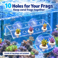 kcrygogo Coral Frag Holder Acrylic Coral Frag Rack with Powerful Double Suction Cups Suitable for Household Fish Tanks (