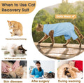 Cat Recovery Suit with Hind Legs,Cat Onesie After Surgery,Blue L