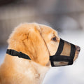 Evollax Dog Muzzle for Large Dogs - Air Mesh Muzzle for Large Sized Dog | Adjustable No Bark Dogs Muzzles for Scavenging