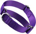 Martingale Collar for Dogs Choke Dog Choker Collars, Purple M