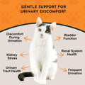 Animal Essentials Tinkle Tonic - Dog & Cat Urinary Tract Support, Kidney Supplement, Supports Urinary Tract, Bladder Health for Pets, with Marshmallow - 2 fl oz