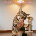 5Pcs Plush Pet Toy, Realistic Food Shaped Chew Toy for Cat, Relieve Boredom (5)
