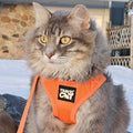 Travel Cat Harness and Leash Set - Adjustable Fit Mesh Cat Harness and Reflective Strap - Comfort Walking Vest for Kitte