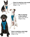 Kurgo Enhanced Strength Tru-Fit Smart Harness