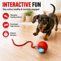Smart Interactive Automatic Electric Rolling Moving Rechargeable Motion Activated Self Solo Play Electronic Stimulation Chase Teaser Ball Toy with Rope for Indoor Bored Adult Cat and Dog, Red