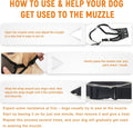 Dog Muzzle for Small Medium Large Dogs – Anti-Scavenging T-Shaped Mesh, Prevents Biting, Barking & Eating | 1.2 oz Ultra-Lightweight Breathable Soft PVC Padded Mouth Guard with Luminous Strap