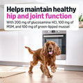 Amazon Basics Dog Hip & Joint Daily Supplement Chews with Glucosamine, MSM, and Vitamin C, Duck Flavored, 120 Count (Previously Solimo)