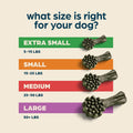 Chewsday Fresh Mint Flavor Dental Chews, Small Dog Treats, Healthier Teeth and Fresher Breath, Enzyme Powered for Advanced Cleaning, Made in the USA, 13 Count