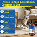 Dewormer for Cat and Kittens, Triple Dewormer for All Worms