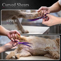 Purple Dragon Dog Grooming Scissors Set - 7 inch Purple Pet Scissors Kit