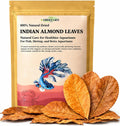 Premium Indian Almond Leaves. 40 Leaves 8-10 inchs. Catappa Leaves Rich in Tannin. Vacuum Packet. Awsome Aquarium Decora