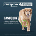 Nutramax Dasuquin Joint Health Supplement for Large Senior Dogs – for Immune Support, Skin & Coat Health, and Brain Health, 84 Soft Chews
