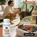 Cat Dogs Dewormer for Cats Dogs – Fenbendazole Liquid Broad Spectrum Wormer for Tapeworms, Roundworms & Hookworms,120 ML (4.2 Fl Oz)