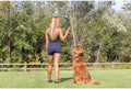 Chuckit! Dog Ball Launcher 12M Sport with 12" Handle Length for Medium 2.5" Dog Balls For Dogs 20-60 lb, Plastic Pet Fetch Ball Thrower, Perfect for Kids, Made in USA, Blue