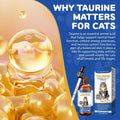 Taurine Drops for Cats – Essential Liquid Amino Acid for All Life Stages