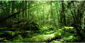 36x24 in Forest Terrarium Backdrop Green Tree Reptile Habitat Background