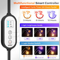 UV Reptile Heat Lamp, UVA UVB Reptile Light with Clamp and Intelligent Cycle Timer for Turtle, Bearded Dragon, Lizard an