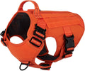 Large (Pack of 1)/Orange