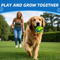 Dog Toys Ball, Interactive, M, 3.46 in (8.8 cm)