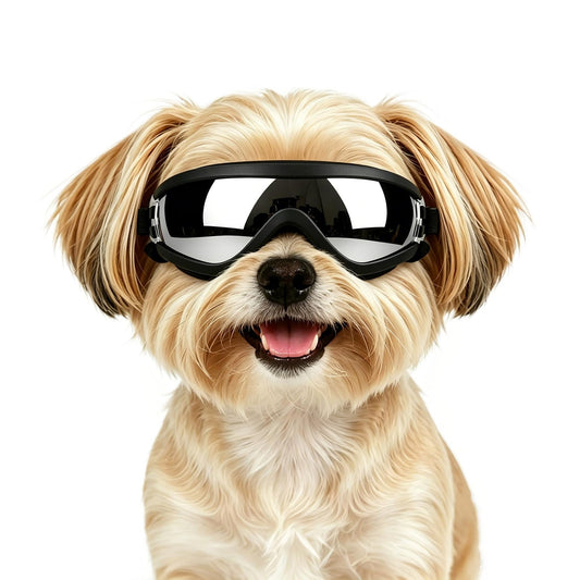 Enjoying Dog Sunglasses for Small Dogs, UV Protection Pet Goggles for Small Dog Breeds, Windproof Dust-Proof, Little Dog Eye Protection for Outside Cycling Driving, Adjustable Straps, Black