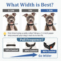 Mayerzon 1.5" Wide Martingale Collar for Small Medium Dogs Precision Fit