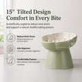 FOCPB Ceramic Elevated Slow Feeder Cat Bowl, Raised and Gently Tilted Feeding Dish with Maze Design, Whisker-Friendly, Easy to Clean, for Indoor Cats and Small Dogs (Green/Ivory)