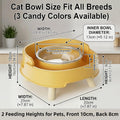 SXKBM 2 Pack Ant Not Cross Elevated Cat Bowls Mess Proof-4 Food Grade Glass Bowls & 2 Lids- No Spill Cat Food and Water Feeding Station for Cats&Puppy Indoor & Outdoor,No Whisker Fatigue Dish,Green