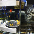 WEAVERBIRD 40mm Fish Hatchery Incubator, Aquarium Cichlids Fish Egg Incubator Tumbler Fish Hatchery Breeding for Fish Ta