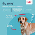 Halti No Pull Harness & Halti Training Leash Size Large, Black Combination Pack - Stop Your Dog Pulling on The Leash. Adjustable, Lightweight and Easy to Use. Suitable for Large Dogs