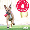 KONG Puppy Binkie - Pacifier Dog Toy for Puppies - Stuffable Treat Chew Toy for Treats - Durable Natural Rubber for Teething Puppy - for Small Puppies - Blue
