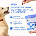 Native Pet Calming Chews for Dogs - Promotes Calming Effect, Supports Emotional Balance & Reduces Hyperactivity - Hemp S
