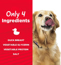 Country Kitchen Duck Jerky Tender Dog Treats, Made with Real Duck, High Protein, Low Fat, No Artificial Colors, 16 oz