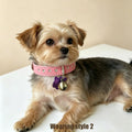 Puppy/Cat Bells for Pet Tracking, 4 Loud Cat and Small Dog Bells for Collar