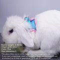 Rabbit Harness and Leash Set Escape Proof, Adjustable Soft Padded Vest, Breathable Mesh Bunny Harness with Reflective St