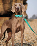 6FT Reflective Dog Leash, Padded Handle for Small Medium Dogs
