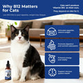 Appetite Stimulant for Cats, Liquid Vitamin B12 & Methylcobalamin Drops