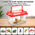 12Pcs Plastic Reptile Terrariums Carrier Cage Tarantula Enclosure Snake Breeding Box Hatching Container Transparent Fish