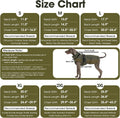QBLEEV Warm Dog Jacket, Waterproof Dog Winter Coat with Harness