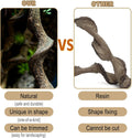 Reptile Decor 4PCS Natural Forest Branch Terrarium Habitat Wood Decoration Lizard Climbing Tree Branch for Bearded Drago