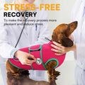 Queenmore Dog Anxiety Vest,Breathable Dogs Stress and Anxiety Relief Jacket,Lightweight Calming Shirt for Dogs,Dog Anxiety Hoodie Calming Care for Separation,Thunder,Vet Visits,Rosered,M